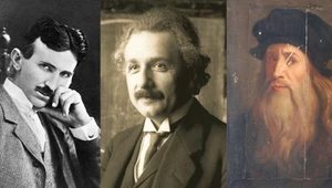 Tesla, Einstein i da Vinci. Lista najbardziej znanych wegetarian