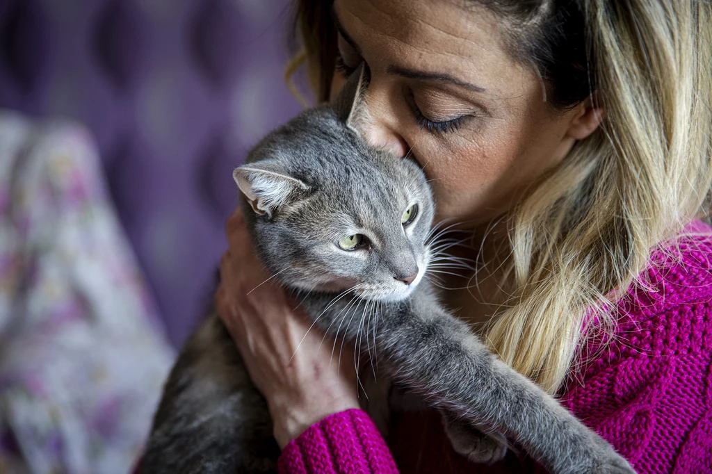 Pozytywny wpływ kotów na ludzkie zdrowie jest gorzej zbadany niż nasze relacje z psami