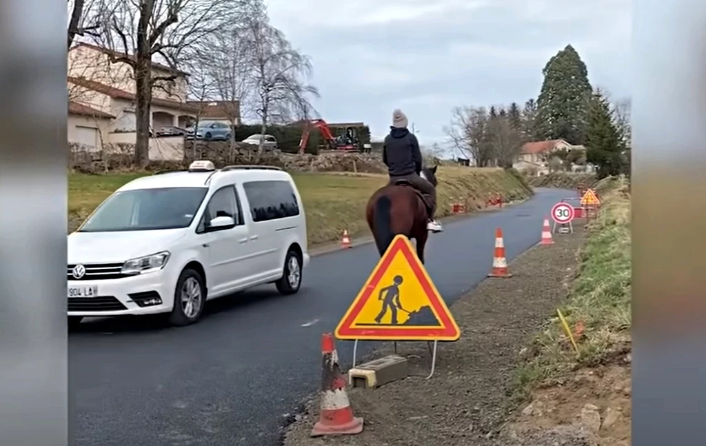 Pojechał do pracy na koniu, bo nie stać go na paliwo / Brut. 