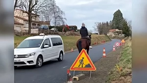 Pojechał do pracy na koniu, bo nie stać go na paliwo / Brut. 