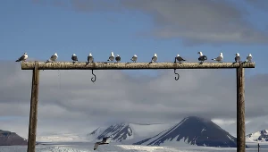 Atrakcyjne fundusze norweskie 