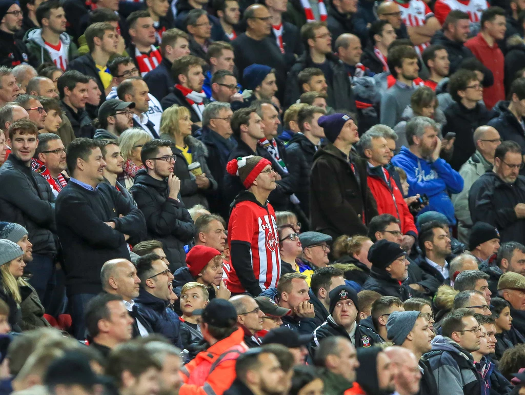Fani Southampton FC Fani Southampton FC