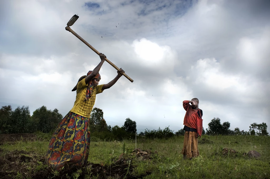 Pigmejka przygotowuje poletko pod upraw makabo lub manioku na wzgórzach w okolicy Buraniro.