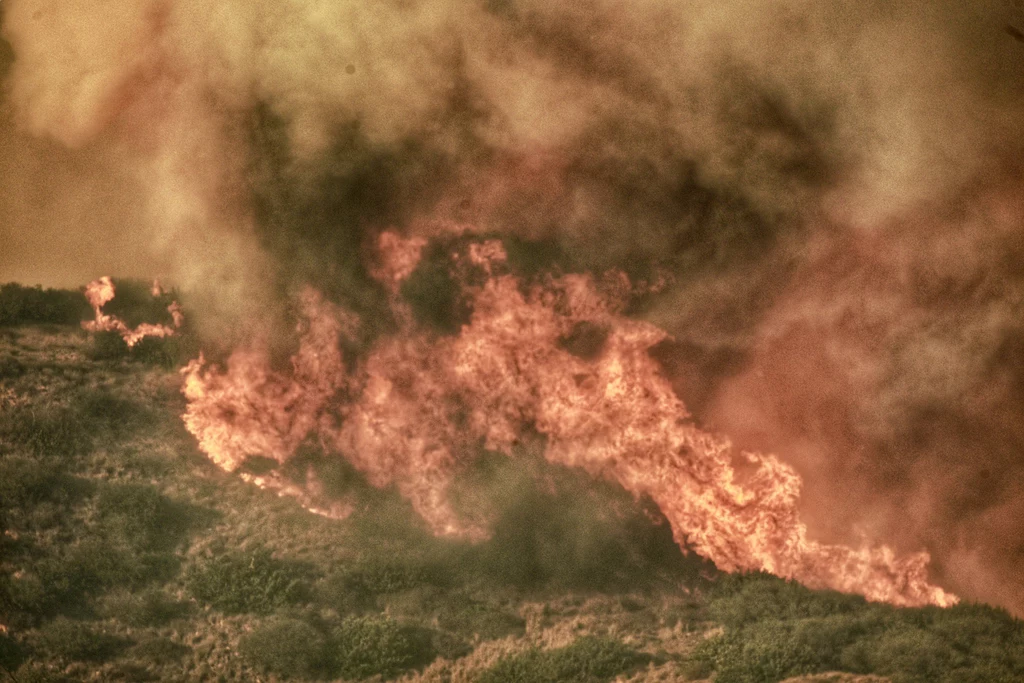 Pożar lasu w Kalifornii. 