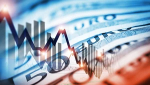 Złoty pomiędzy RPP, a Fed