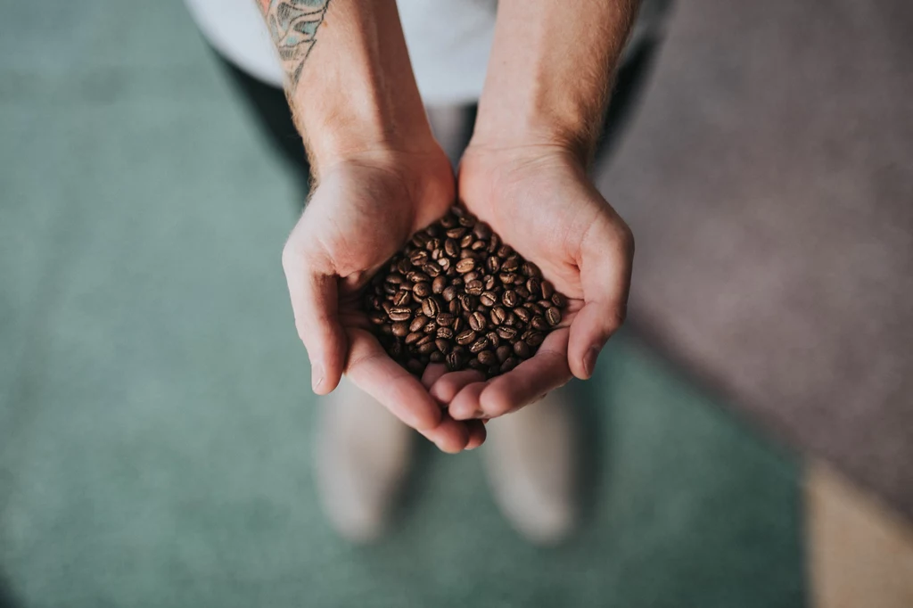 Naukowcy odkryli, że większa bioróżnorodność w pobliżu upraw kawowca ma bezpośrednie przełożenie na ilość i jakość zebranej kawy