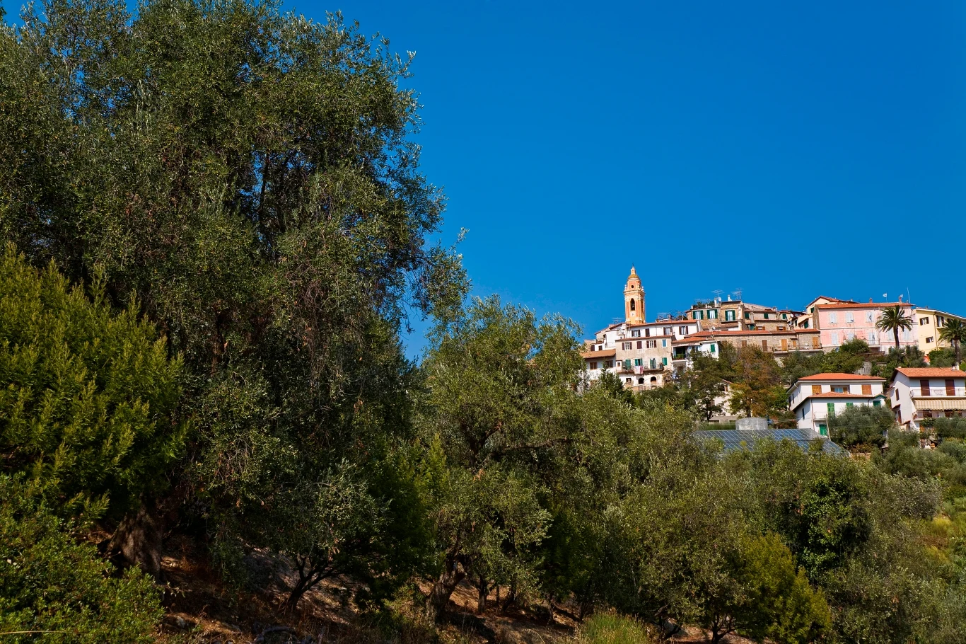 Położona na szczycie niewielkiego wzgórza wieś ogłosiła się monarchią i stara się o autonomię Położona na szczycie niewielkiego wzgórza wieś ogłosiła się monarchią i stara się o autonomię