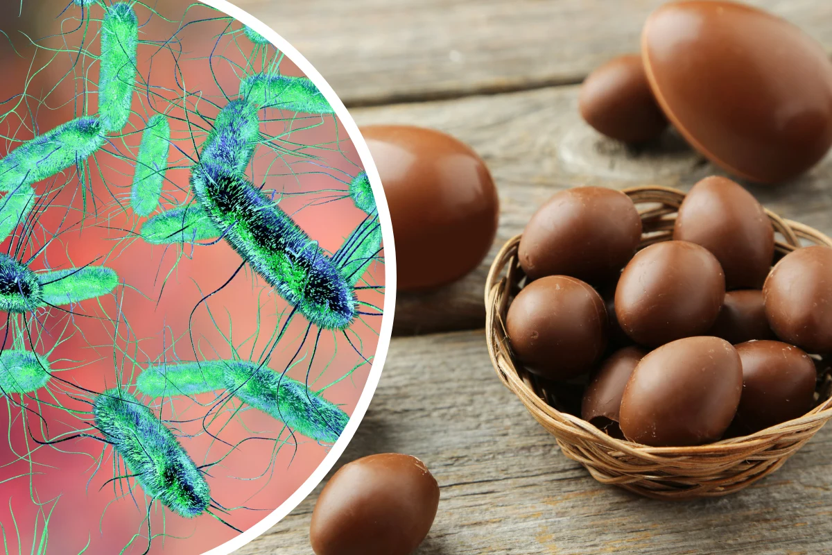 Salmonella znaleziona w czekoladkach spowodowała wycofanie prze GIF całych serii słodyczy Salmonella znaleziona w czekoladkach spowodowała wycofanie prze GIF całych serii słodyczy