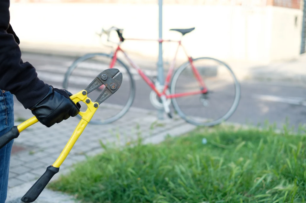 Kradzieże rowerów, szczególnie w dużych miastach, to dziś prawdziwa plaga