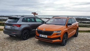 Skoda Karoq 2022 - coś więcej, niż kosmetyka