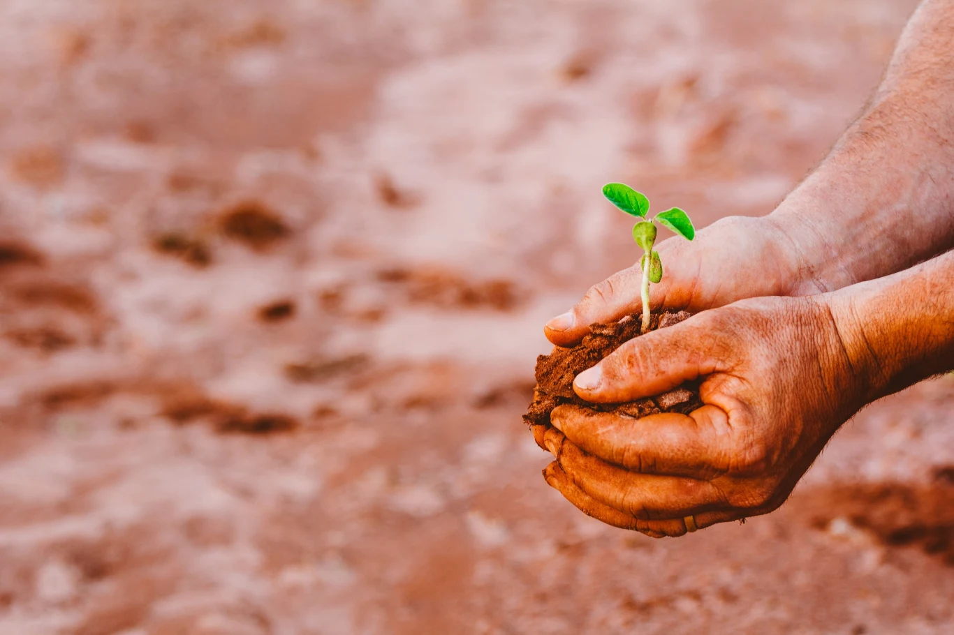 Ilość dwutlenku węgla pochodzącego z gleb może być inna niż sądziliśmy - odkryli amerykańscy naukowcy Ilość dwutlenku węgla pochodzącego z gleb może być inna niż sądziliśmy - odkryli amerykańscy naukowcy