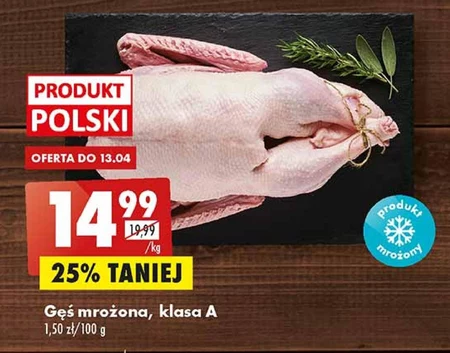 Gęś