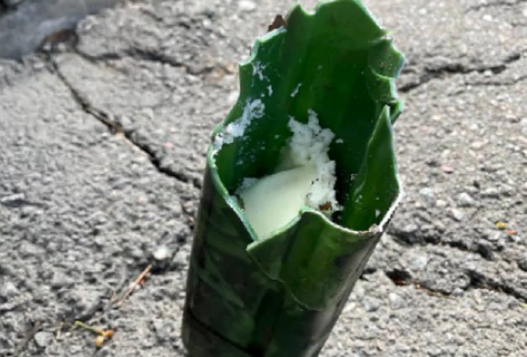 Mina o opóźnionym zapłonie Mina o opóźnionym zapłonie