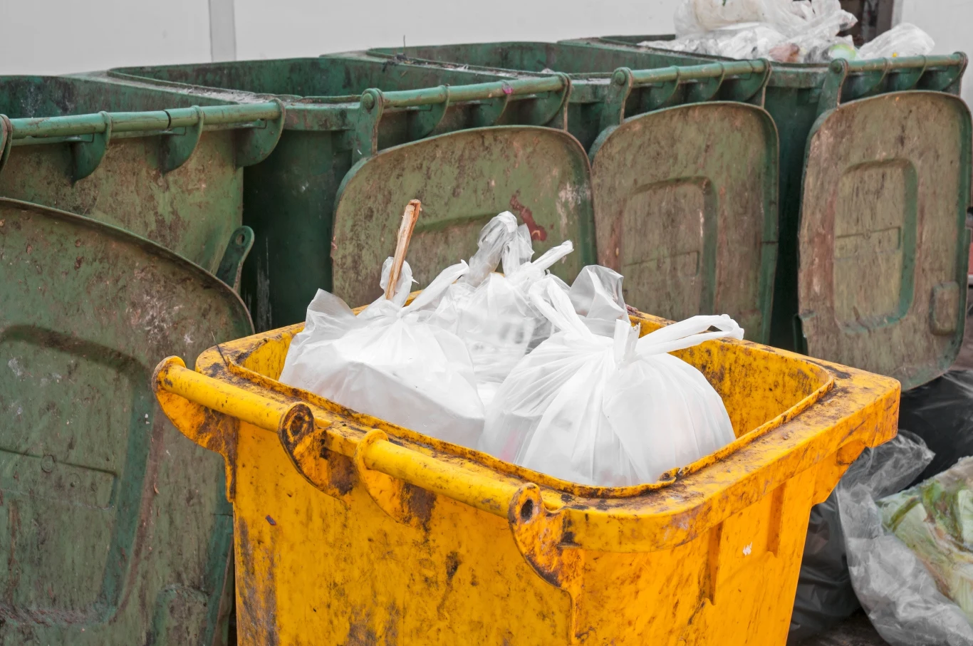 Niektóre gminy umożliwiają całkowite, 100-procentowe zwolnienie z opłaty.