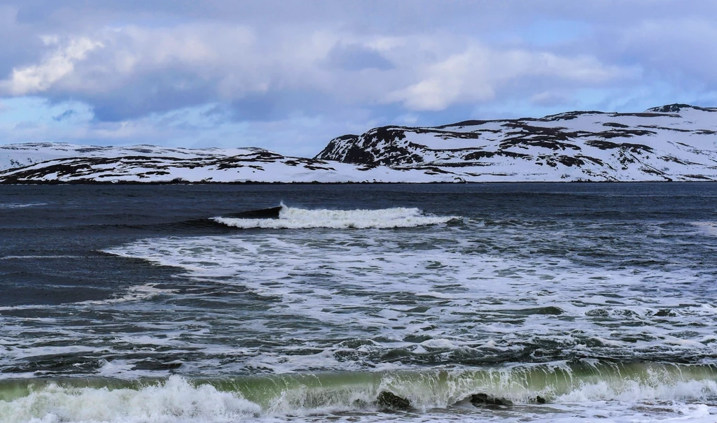 Morze Barentsa (zdjęcie ilustracyjne).