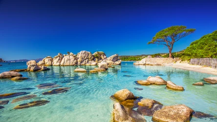 Korsyka to jedna z najlepszych wysp na wakacje w Europie. Żyje tam wielu stulatków, a piękne plaże i przyroda zapierają dech w piersiach