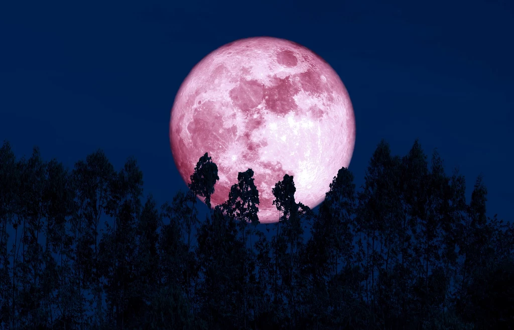 Wielu Polaków osób wyobraża pełnię różowego księżyca w ten sposób. Tak naprawdę Srebrny Glob wcale nie zabarwia się na różowo
