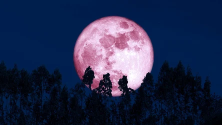 Pełnia w czerwcu. Kiedy oglądać Truskawkowy Księżyc? 
