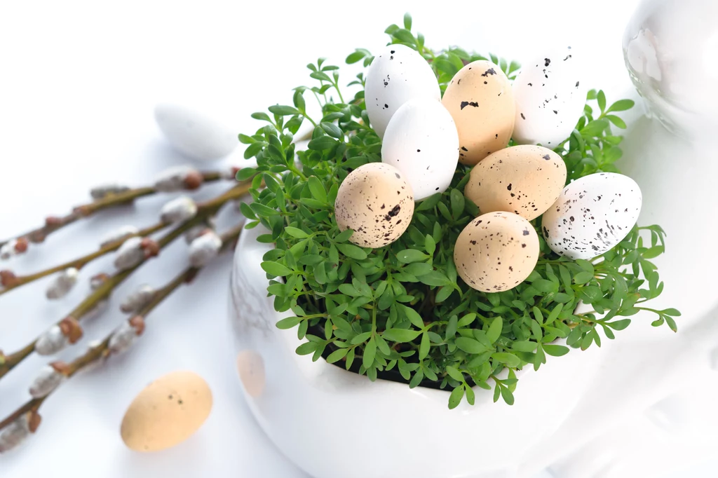 Przepiórcze jaja mogą pełnić rolę efektownej ozdoby świątecznego stołu