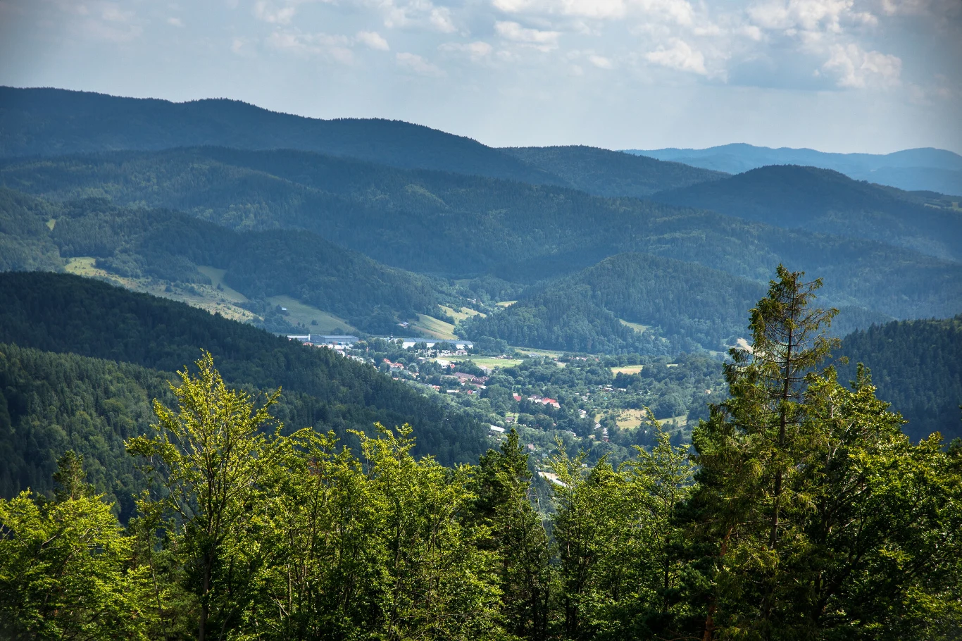 Ze szczytu Jaworzyny Krynickiej rozpościera się piękny widok!