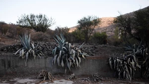 Chile wprowadza bezprecedensowy plan racjonowania wody z powodu suszy