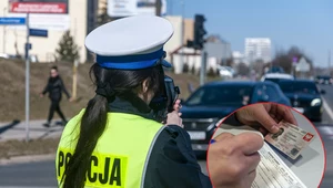 Mandat 2500 zł za prędkość. Lepiej zdejmij nogę z gazu w drodze na święta