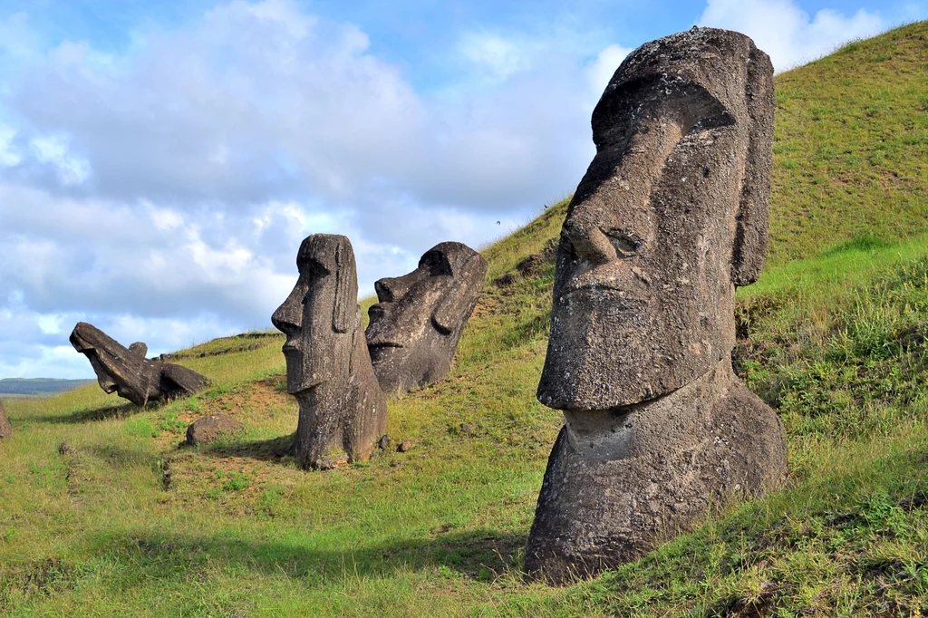 Na Wyspie Wielkanocnej jest 887 posągów moai. Prawdopodobnie powstałoby więcej, ale prace nad nimi nagle zostały przerwane z niewiadomych powodów