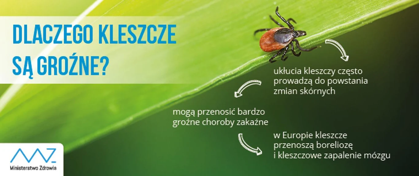 Dlaczego ukąszenie kleszcza jest niebezpieczne?