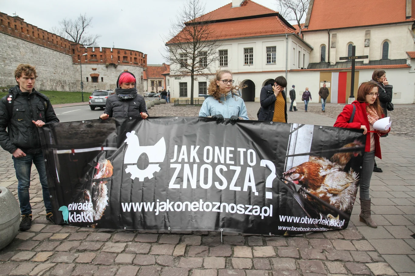 Protest Otwartych Klatek przeciwko hodowli klatkowej kur.