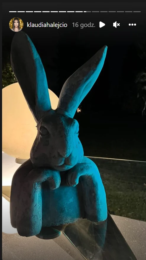 Klaudia Halejcio: www.instagram.com/klaudiahalejcio/