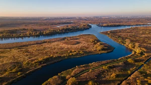Pozostałości leków obecne w polskich rzekach