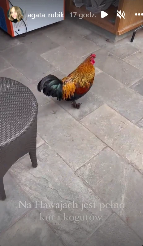 Agata i Piotr Rubik na wakacjach w Honolulu