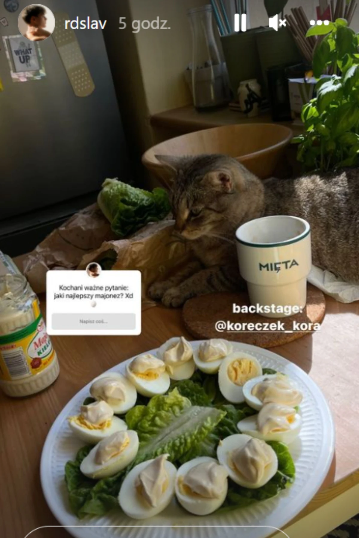 https://www.instagram.com/rdslav/ https://www.instagram.com/rdslav/