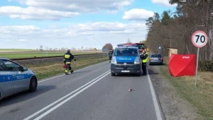 12-latka śmiertelnie potrącona na przejściu dla pieszych