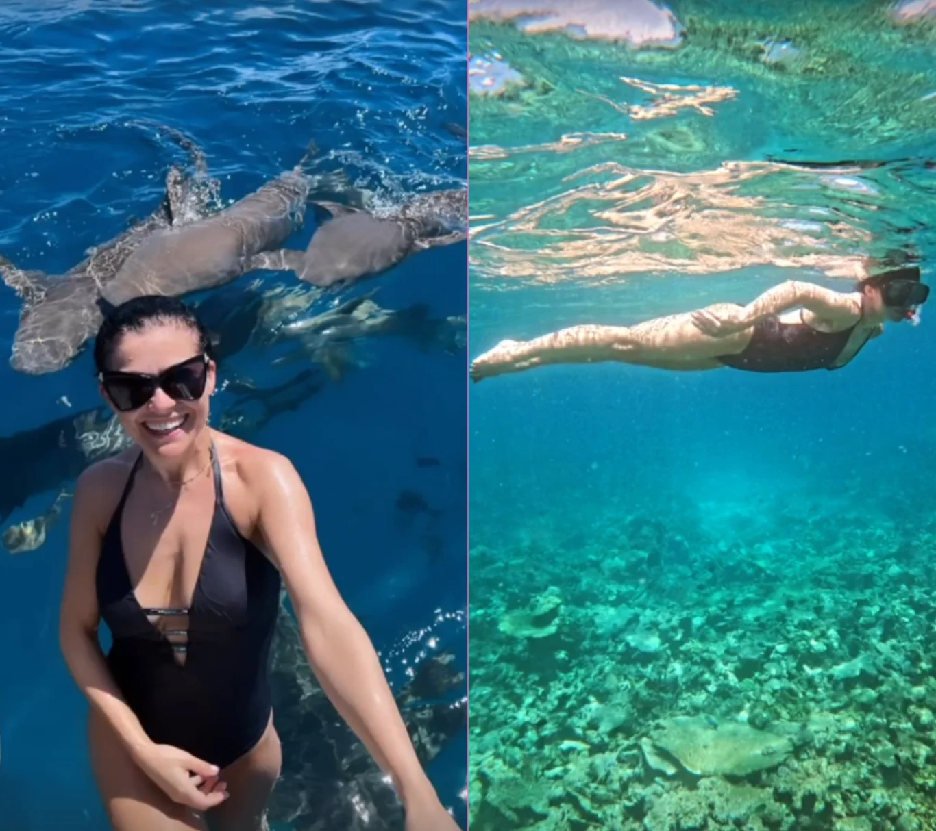 Cichopek pływa z rekinami na Malediwach