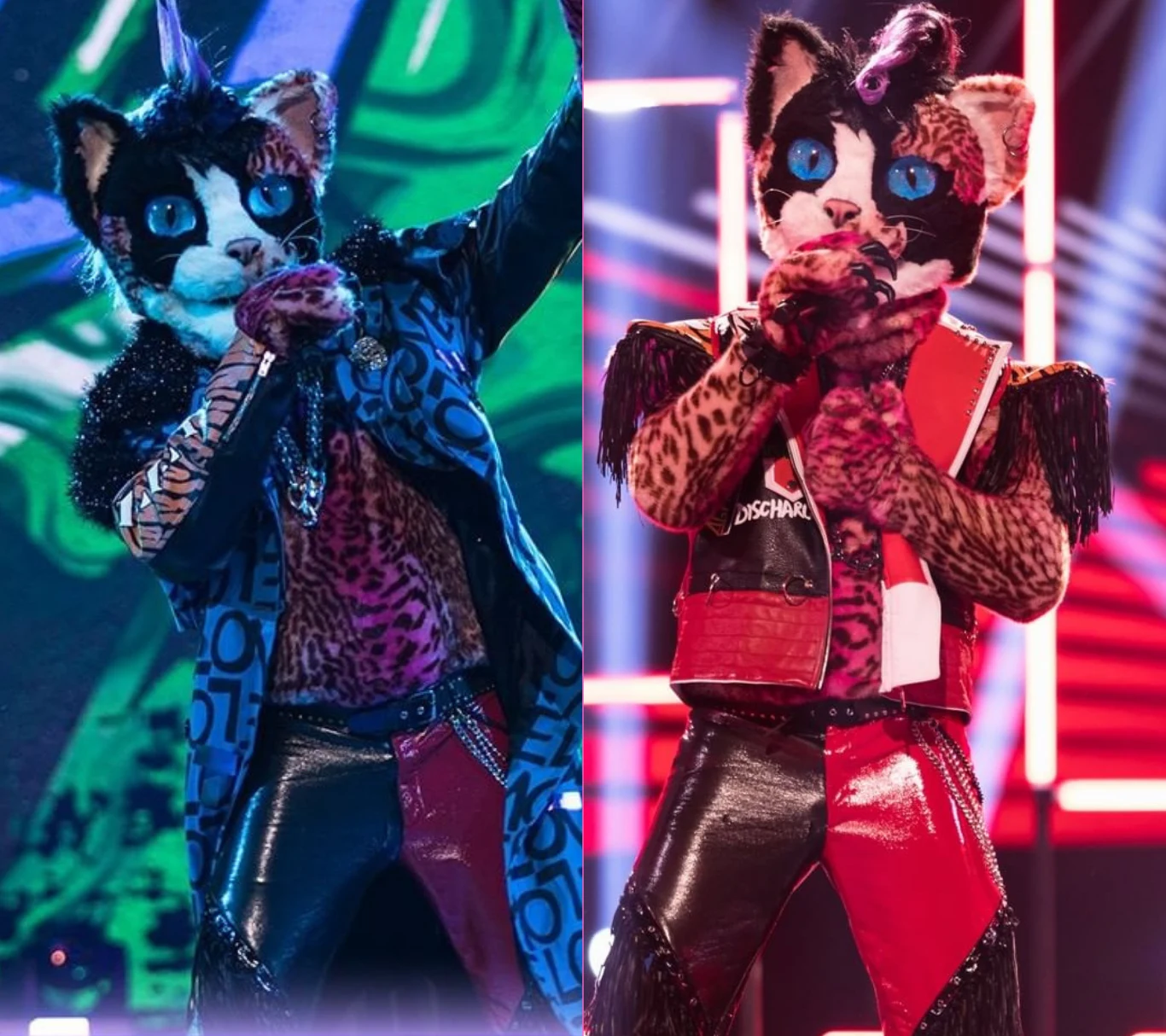 "Mask Singer" - kim jest kot? "Mask Singer" - kim jest kot?