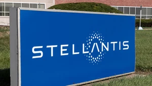 Stellantis jest m.in. właścicielem Fiata. 
