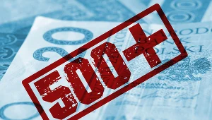 W maju pierwsza wypłata 500 plus dla dzieci z Ukrainy. Zdj. ilustracyjne