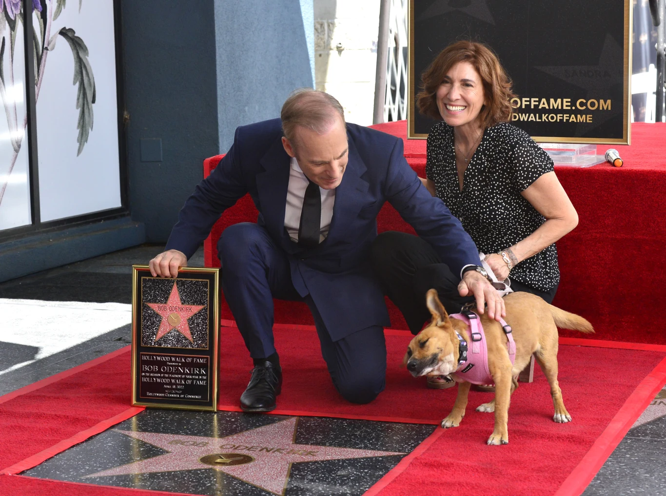 Bob Odenkirk Bob Odenkirk