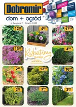 Dobromir urządza dom i ogród