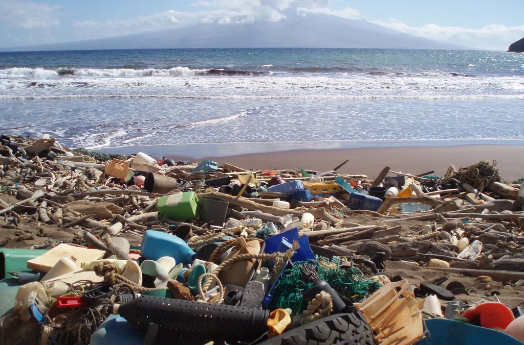 Hawaje zalewane są tonami śmieci z sąsiadującej "wyspy"