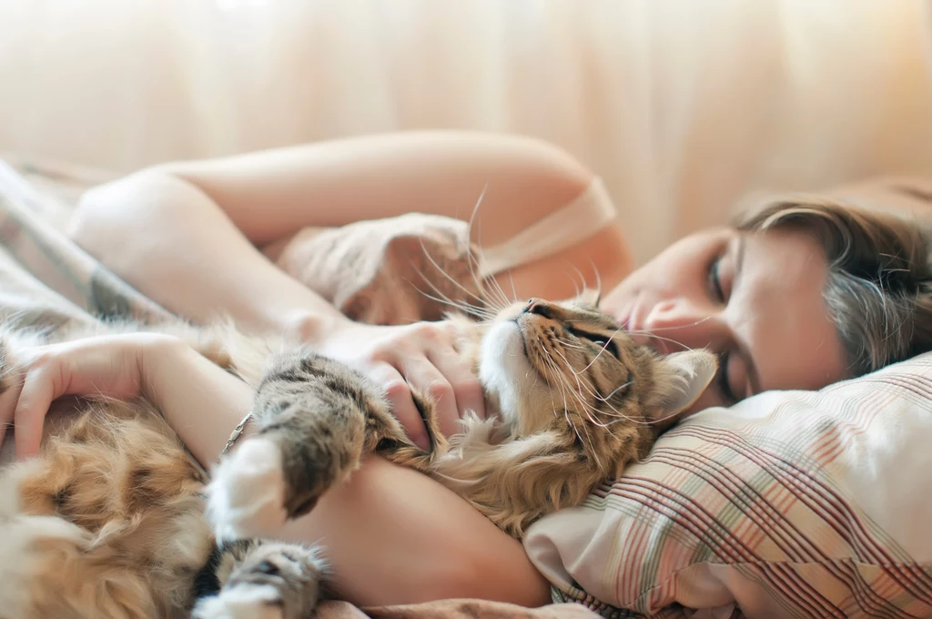 Czasami spanie z kotem nie jest komfortowe, zwłaszcza jeśli kot staje się aktywny w nocy, chce się bawić, hałasuje lub po prostu lubi spać blisko głowy opiekuna
