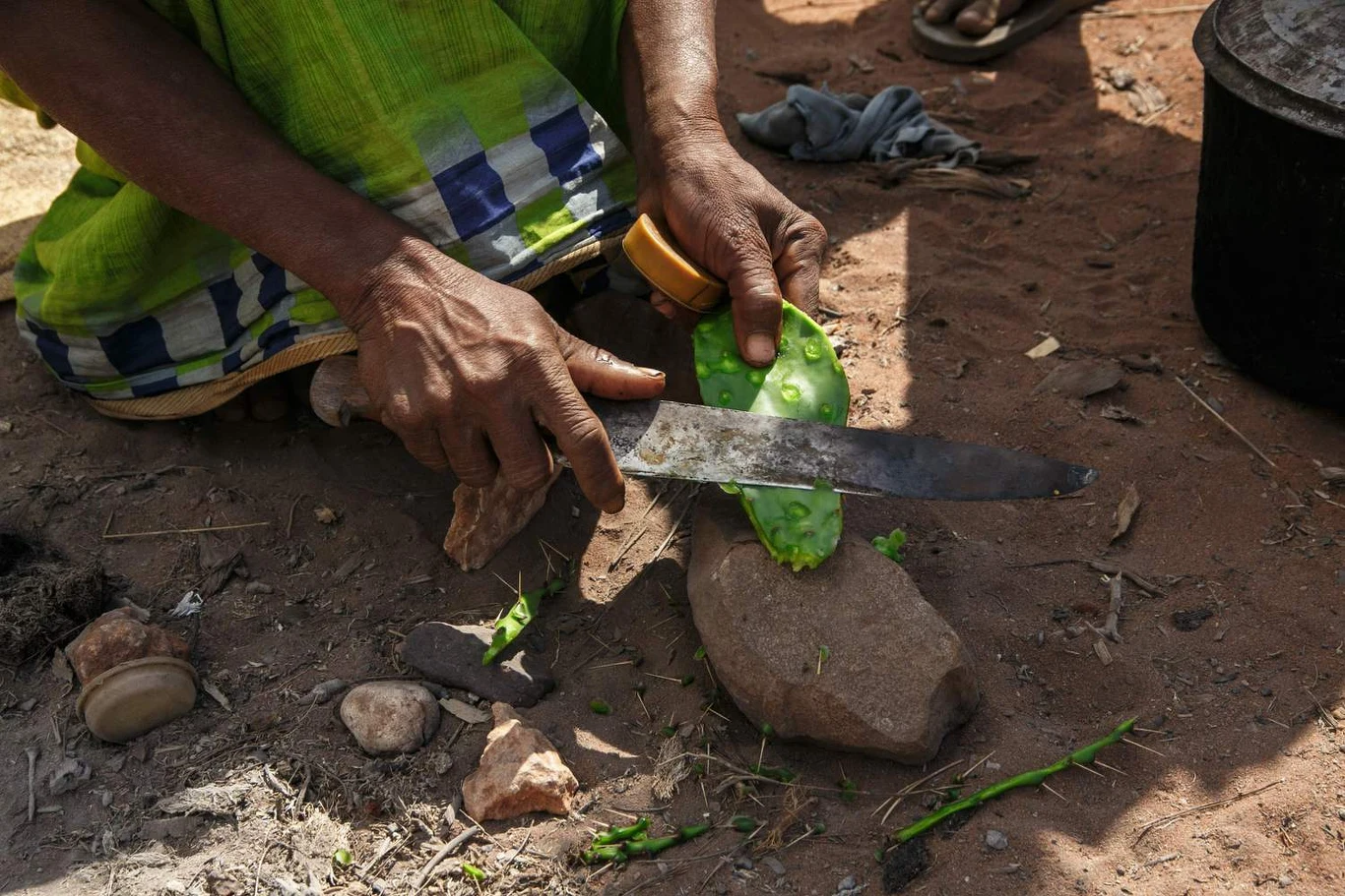 Osoba przygotowująca kaktusa do spożycia podczas klęski głodu na Madagaskarze, która według badaczy ma źródła m.in. w zmianach klimatu. Osoba przygotowująca kaktusa do spożycia podczas klęski głodu na Madagaskarze, która według badaczy ma źródła m.in. w zmianach klimatu.