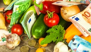 KE zatwierdziła program dopłat dla rolników z tytułu wzrostu cen nawozów 