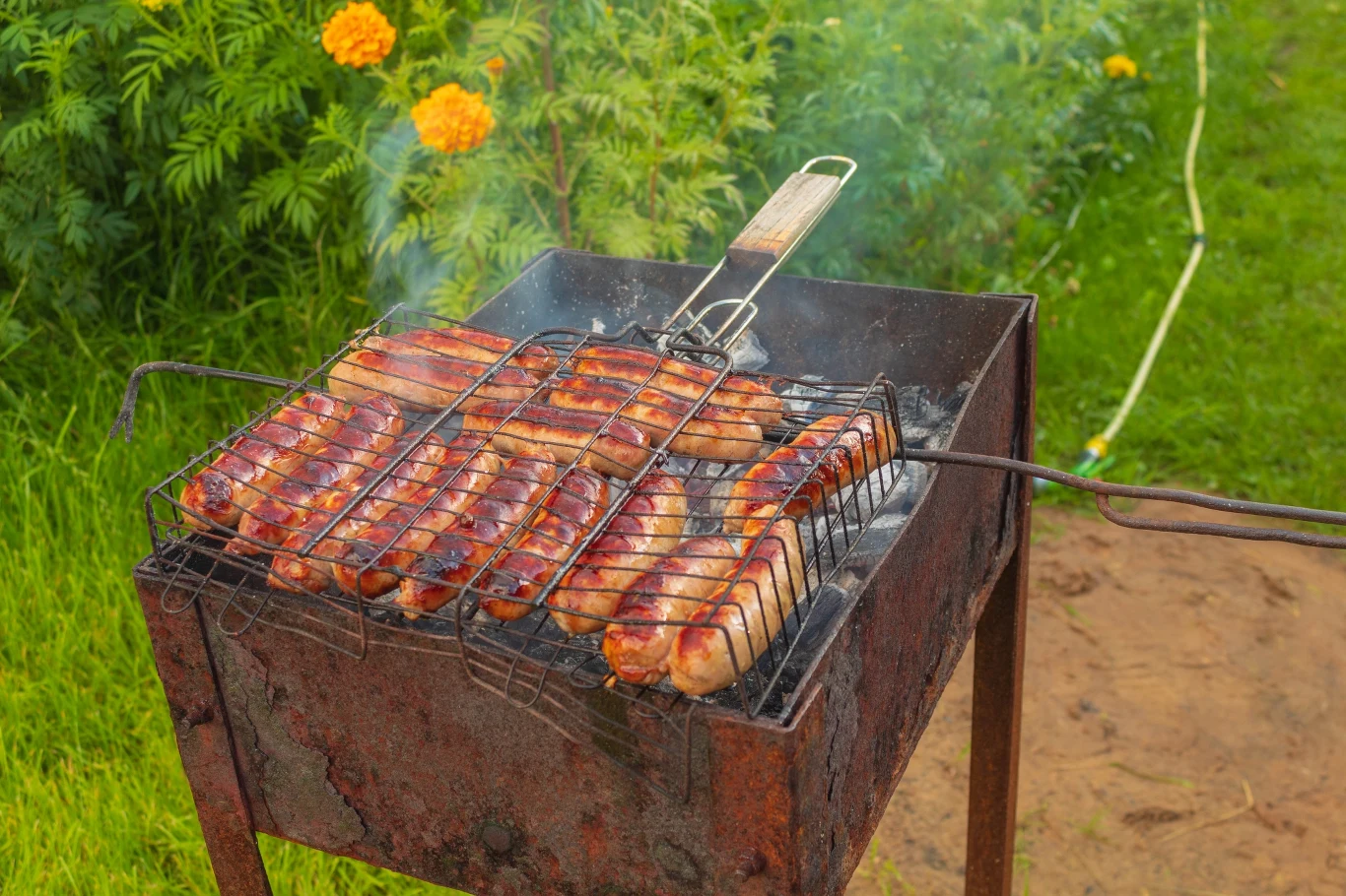 Grillowanie na terenie Rodzinnych Ogródków Działkowych jest dozwolone 