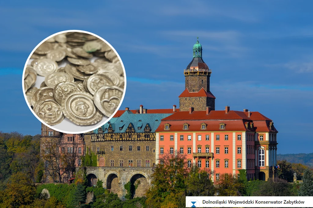 Pies Kajtuś wykopał w Wałbrzychu dzbanek z monetami pochodzącymi z XIII wieku. To największy skarb, jaki został odnaleziony w Polsce od 100 lat