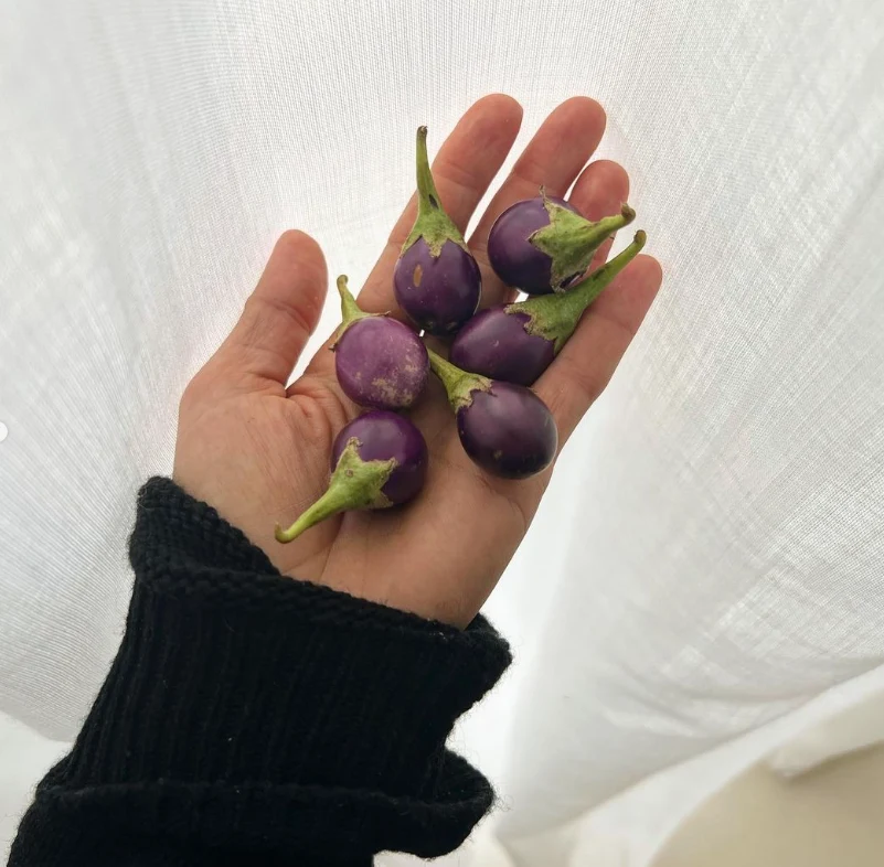 Anna Lewandowska pochwaliła się wizytą na Majorce na IG @annalewandowskahpba/