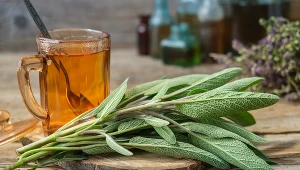 Szałwia zdecydowanie jest warta twojej uwagi. Spróbuj przyrządzić napar z tej rośliny lub dodać szałwię do dania