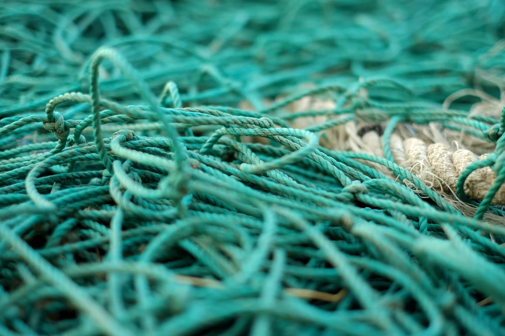 Sieci, żyłki i inny sprzęt połowowy również zanieczyszczają Bałtyk. Wiele z tych materiałów wykonano z tworzyw sztucznych