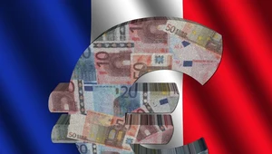 Kursy walut: Euro walczy o powrót do łask